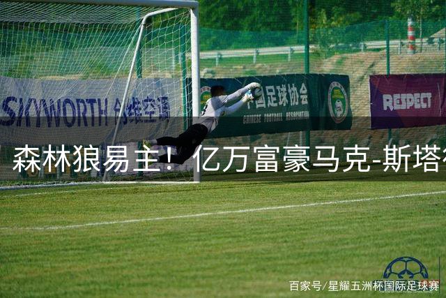 森林狼易主！亿万富豪马克-斯塔德45亿天价购得控股权